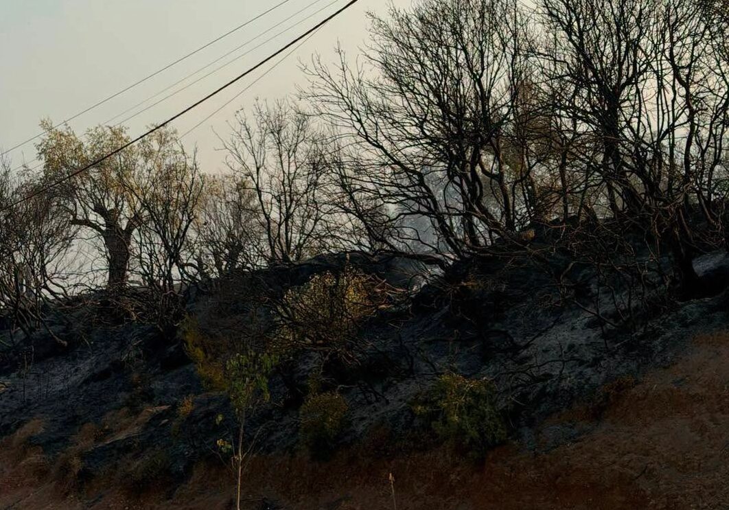 Himarë  nis vlerësimi i dëmeve pas zjarrit  Bashkia identifikon familjet e prekura