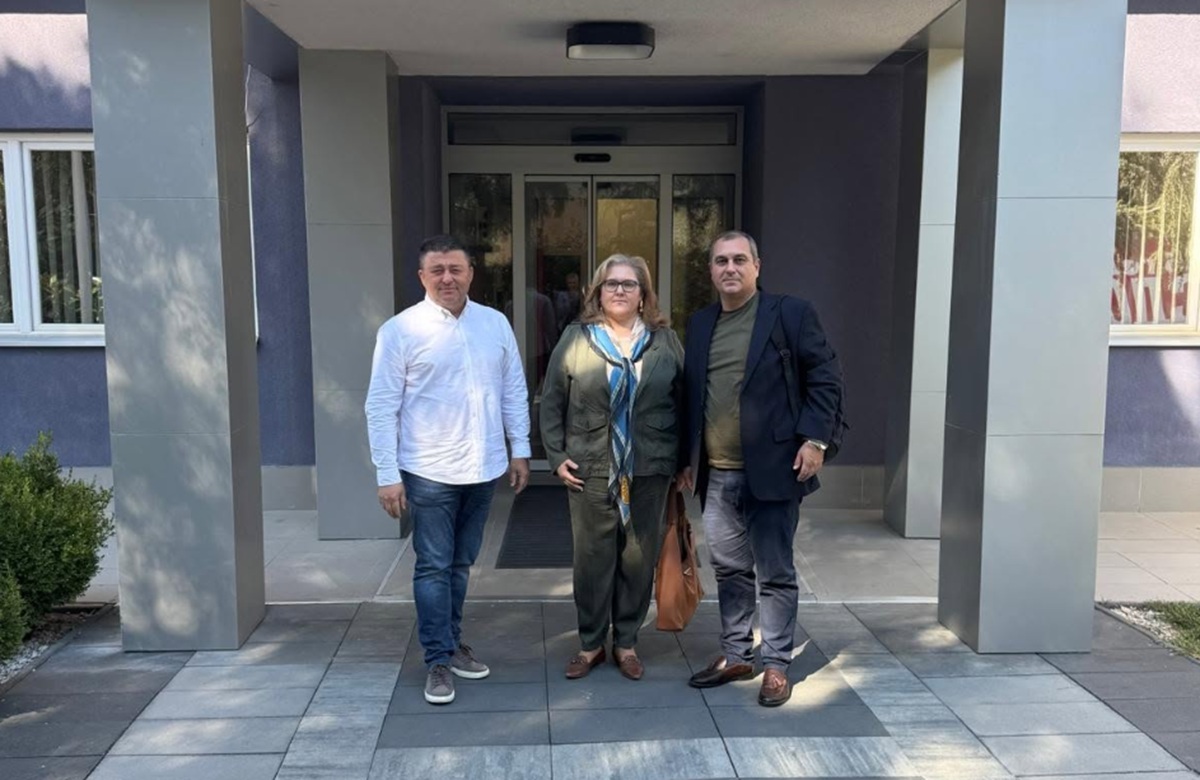 Ivanovski, Petrovska dhe Nachevski dorëzuan propozime për ndryshime strukturore në LSDM në “Bihac”