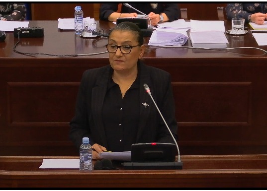 Trençevska  Ribalanci i dytë është disfatë fiskale  pranim i paaftësisë dhe panik në arkën e shtetit
