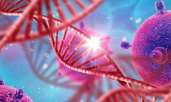 Yndyra, shkaktari kryesor i diabetit