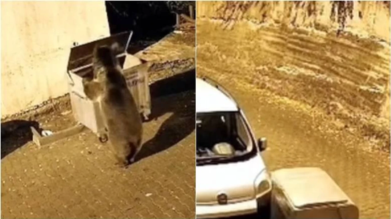 nje-kontejner-mbeturinash-i-shtyre-nga-nje-ari-ne-ankara-u-perplas-me-nje-makine-te-parkuar